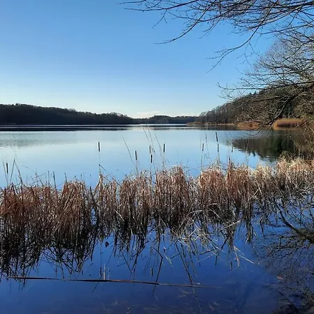 Vierseitenhof Hasenfelde - Ferienwohnung Feldblick Steinhofel Esterno foto