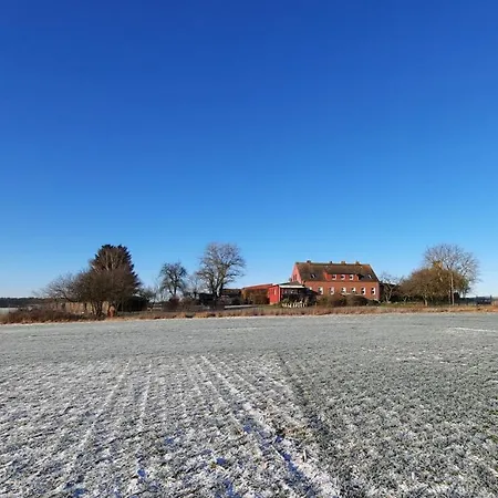 Vierseitenhof Hasenfelde - Ferienwohnung Feldblick Steinhofel Esterno foto