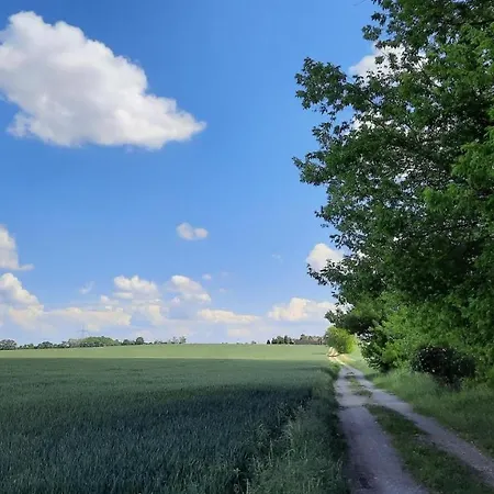 Vierseitenhof Hasenfelde - Ferienwohnung Feldblick Steinhofel Esterno foto