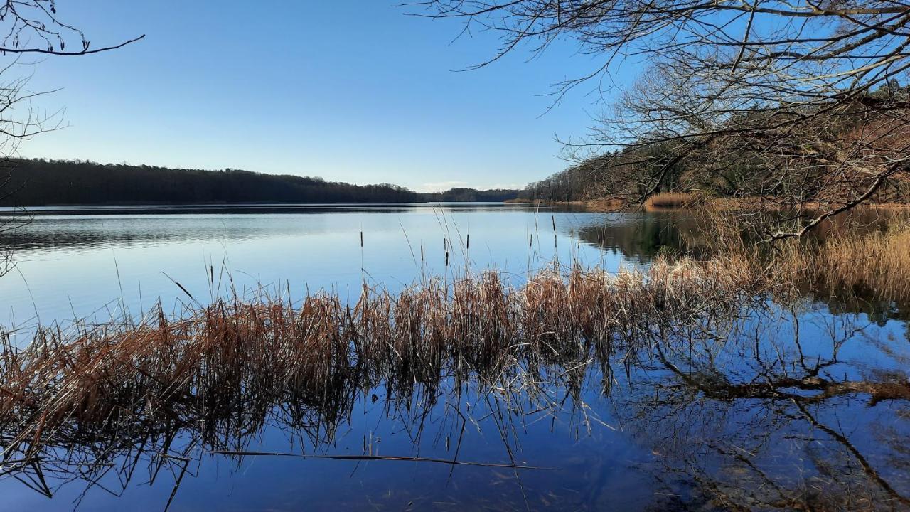 Vierseitenhof Hasenfelde - Feldblick *