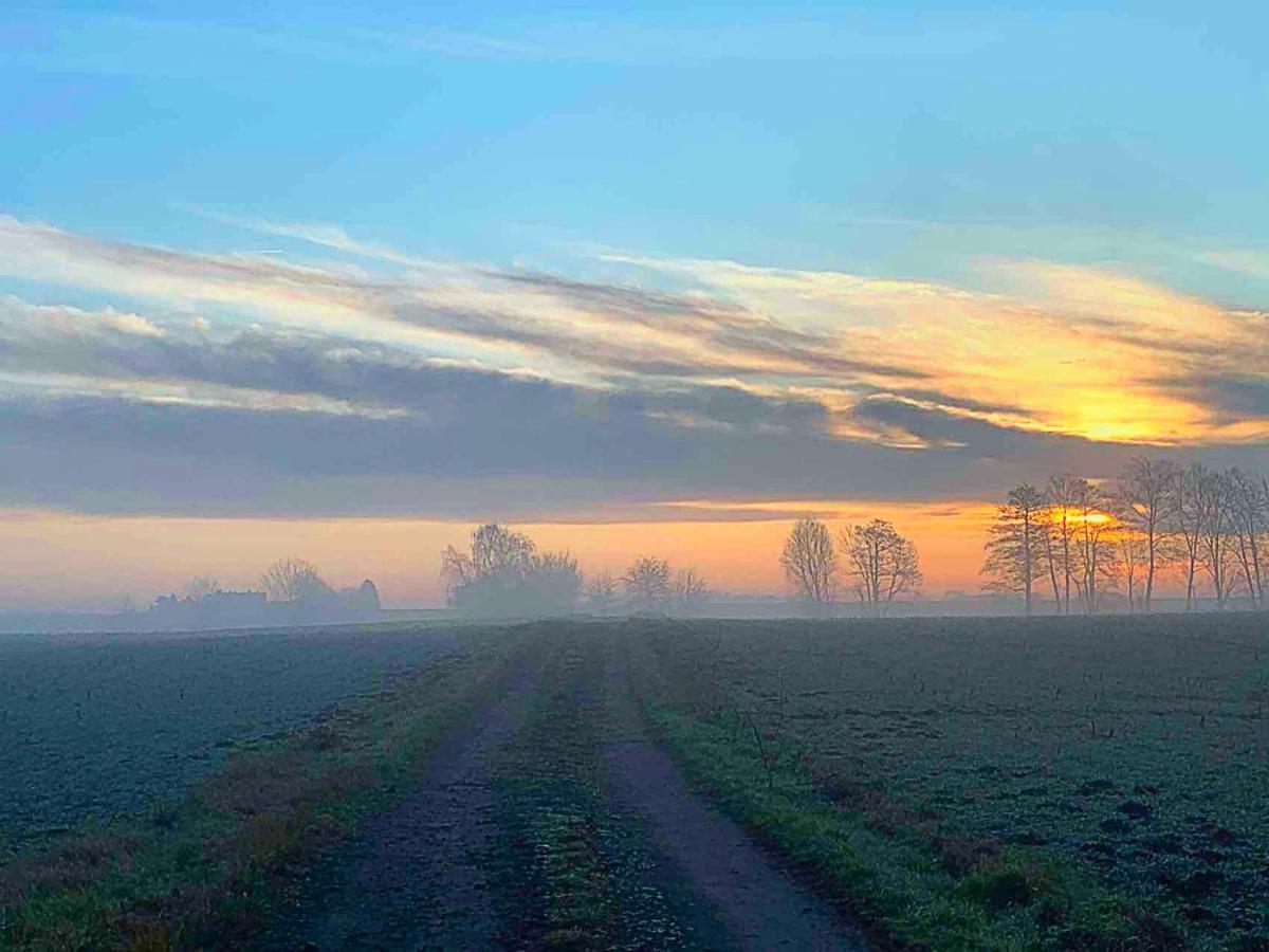 Vierseitenhof Hasenfelde - Feldblick *