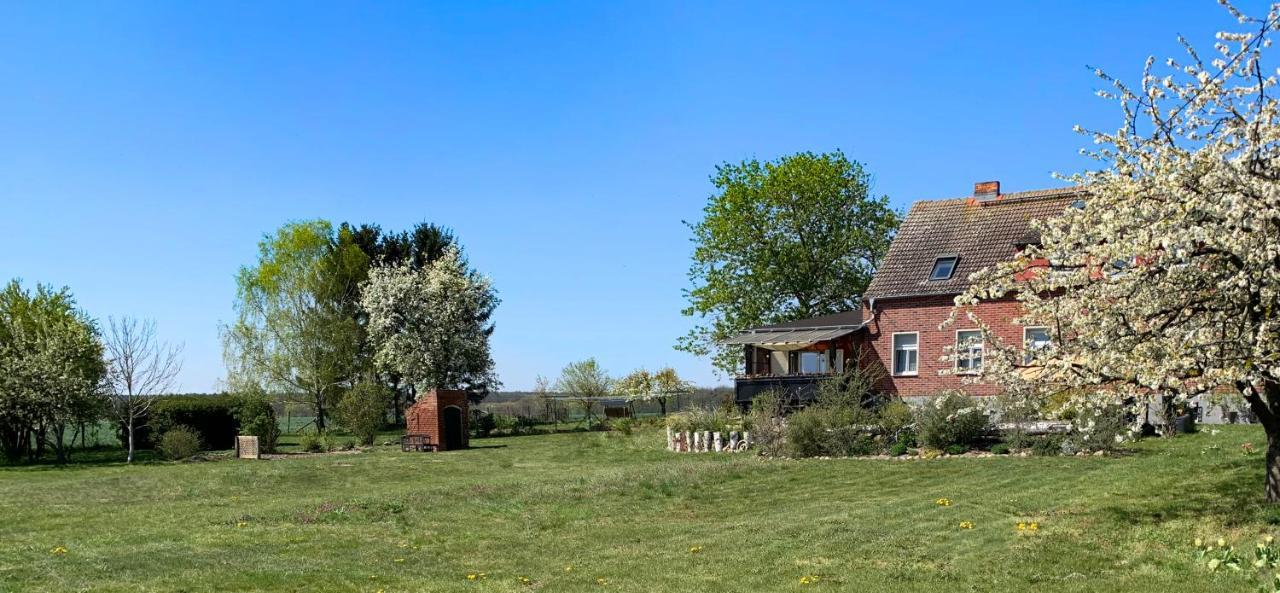 Vierseitenhof Hasenfelde - Feldblick Apartment
